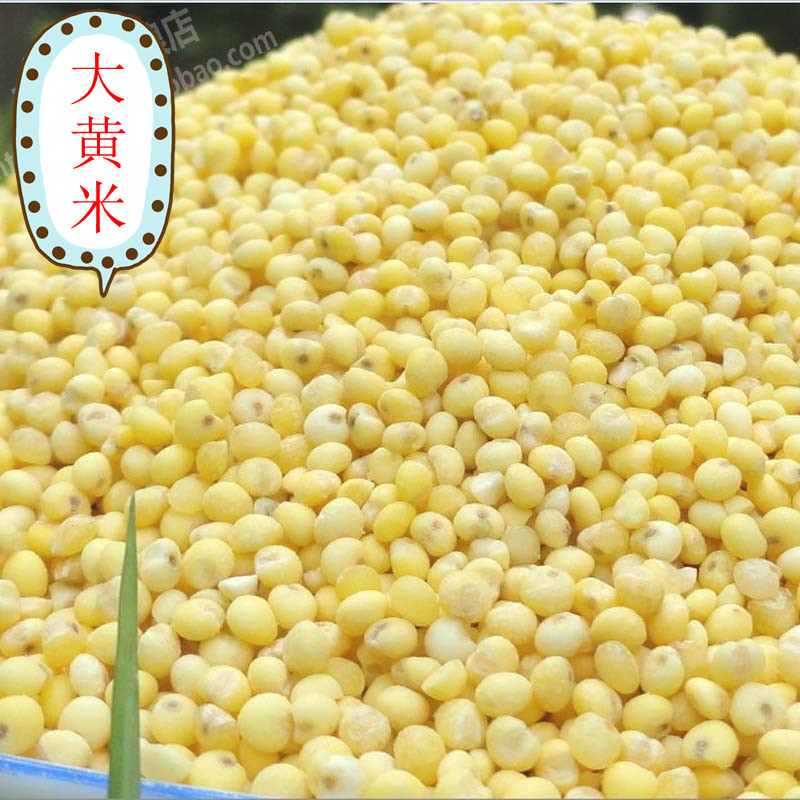 优质东北小米大黄米500g 五谷杂粮 糯大黄米|ruв категории зерно риса/север и Юг сухих грузов/приправы, метров/муки/зерновые, метров в категории, просо - от Buy2taobao.com для оказания профессиональной услуги покупки агента Taobao