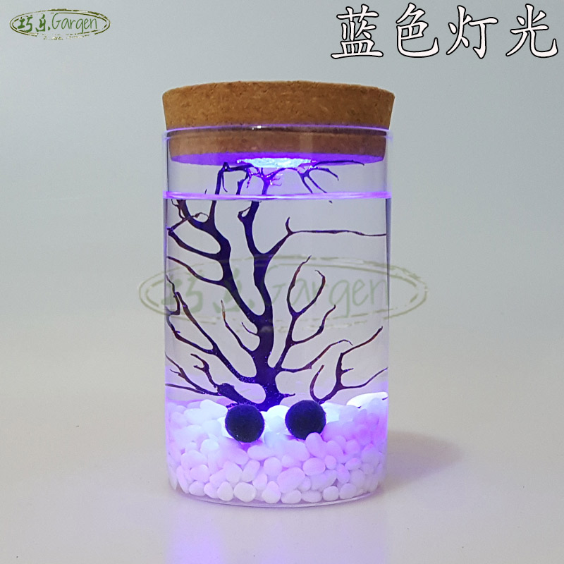 海藻球 marimo 幸福海藻球 微景觀瓶 燈光瓶 玻璃瓶 創意禮物在類目 寵物/寵物食品及用品, 水族世界, 魚缸等水族設備, 生態瓶/創意缸/桌面微景缸中 - 來自Buy2taobao.com提供專業的淘寶代購服務