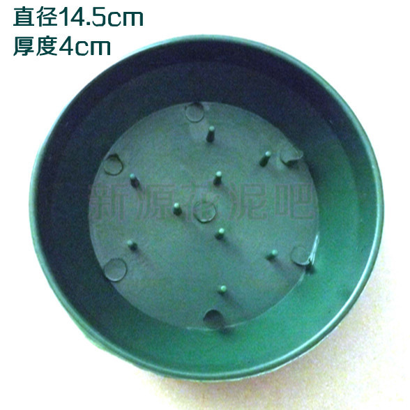 大号圆针盘婚庆用品婚礼会议布置插花塑料花盘diy花艺培训插花在类目 鲜花速递/花卉仿真/绿植园艺, 婚礼鲜花布置, 其它中 - 来自Buy2taobao.com提供专业的淘宝代购服务
