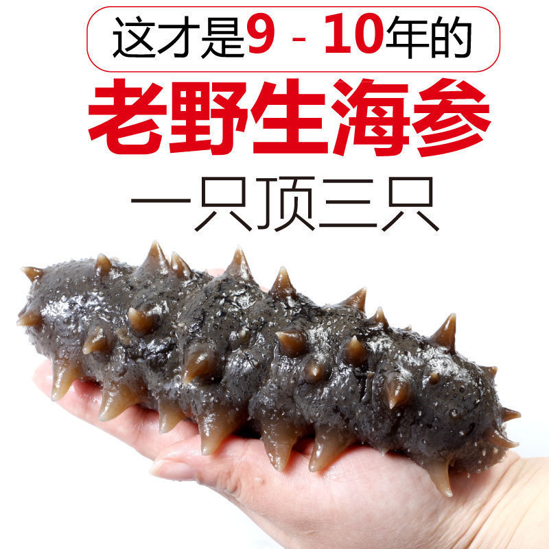 Qingdao wild Dried sea cucumber dried food 50g Dalian 8-9 Annual sea seepage 10 Share 500 Apostichopus japonicusin the Aquatic meat/Fresh fruits and vegetables/Cooked , Seafood/Aquatic/Product , Sea cucumber category - from Buy2taobao.com to provide professional Taobao agent buy service