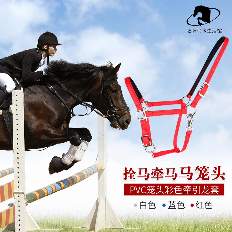 驭骑马具马笼头拴马牵马PVC笼头彩色牵引龙套马术用品|msdalam kategori sukan/Yoga/kecergasan/bekalan peminat, sukan ekuestrian, peralatan kuda, kuda/terkemuka tune - dari Buy2taobao.com untuk memberikan perkhidmatan ejen Taobao profesional membeli