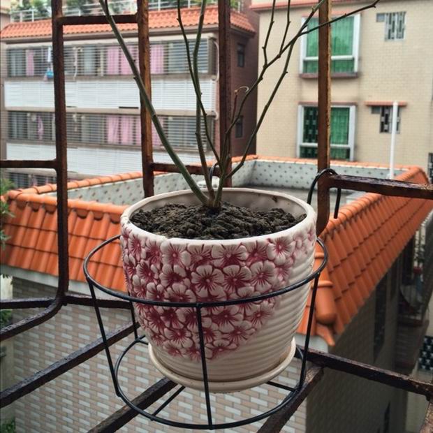 特價簡約小花架陽台鐵藝欄杆花架懸挂式多肉綠蘿吊蘭花盆架在類目 住宅傢俱, 架類, 花架/花幾中 - 來自Buy2taobao.com提供專業的淘寶代購服務
