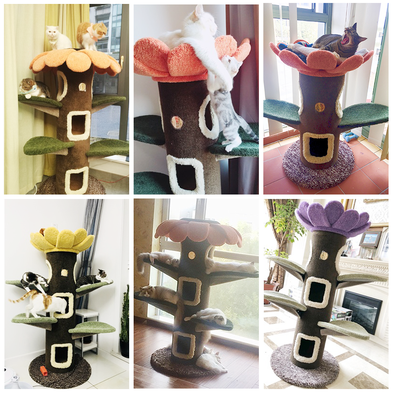 【现货】太阳花树|猫窝大爬架Camily太阳花猫咪城堡多功能猫玩具|msdalam kategori haiwan peliharaan/makanan haiwan dan bekalan, Cat/Mainan anjing, rangka mendaki Cat - dari Buy2taobao.com untuk memberikan perkhidmatan ejen Taobao profesional membeli