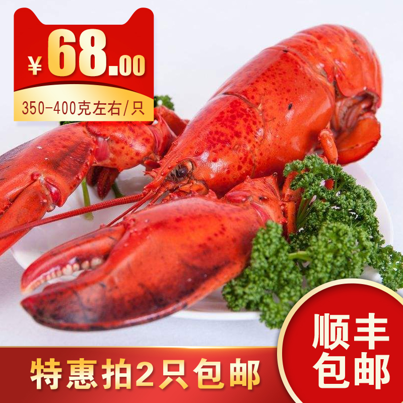 Canada Boston Lobster fresh lobster Crayfish Specifications 350-400 gram/only new goodsin the Aquatic meat/Fresh fruits and vegetables/Cooked , Seafood/Aquatic/Product , Shrimp , Shrimps category - from Buy2taobao.com to provide professional Taobao agent buy service