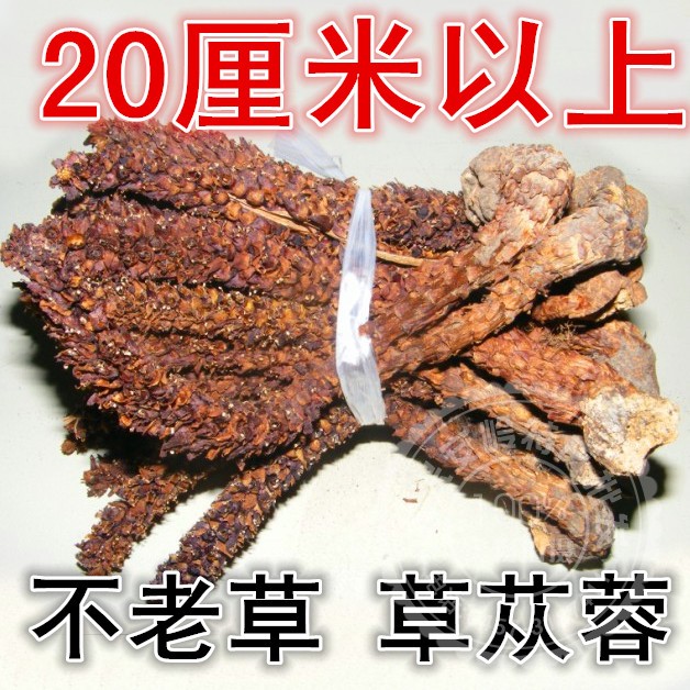 新货大兴安岭散装野生不老草茶山苞米泡酒列当草苁茸药材500克在类目 传统滋补营养品, 其他传统滋补品, 不老草中 - 来自Buy2taobao.com提供专业的淘宝代购服务