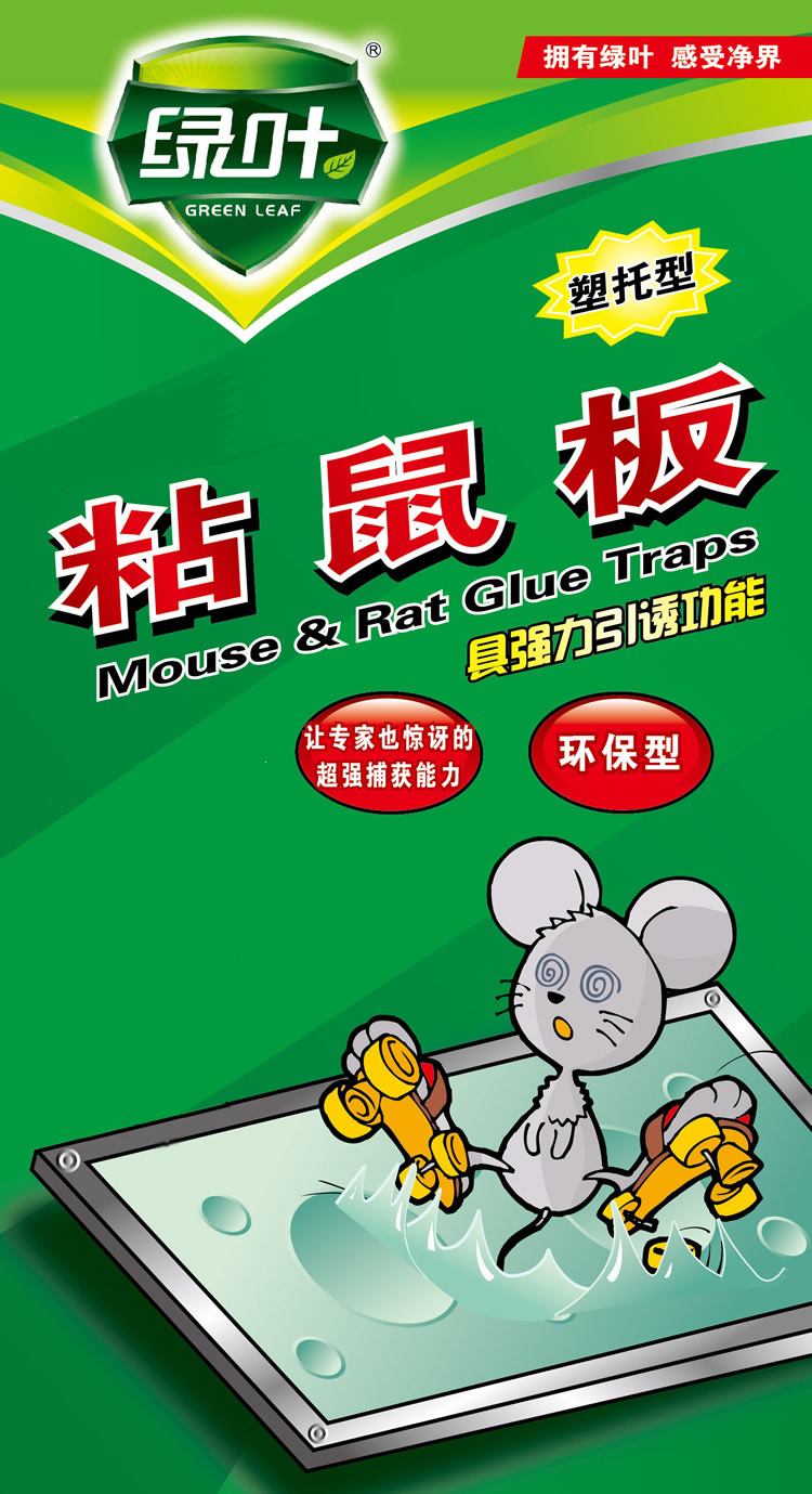 绿叶塑拖粘鼠板鼠贴粘强力含引诱剂老鼠板灭鼠器驱鼠器捕鼠器在类目 洗护清洁剂/卫生巾/纸/香薰, 驱虫用品, 灭鼠/杀虫剂中 - 来自Buy2taobao.com提供专业的淘宝代购服务