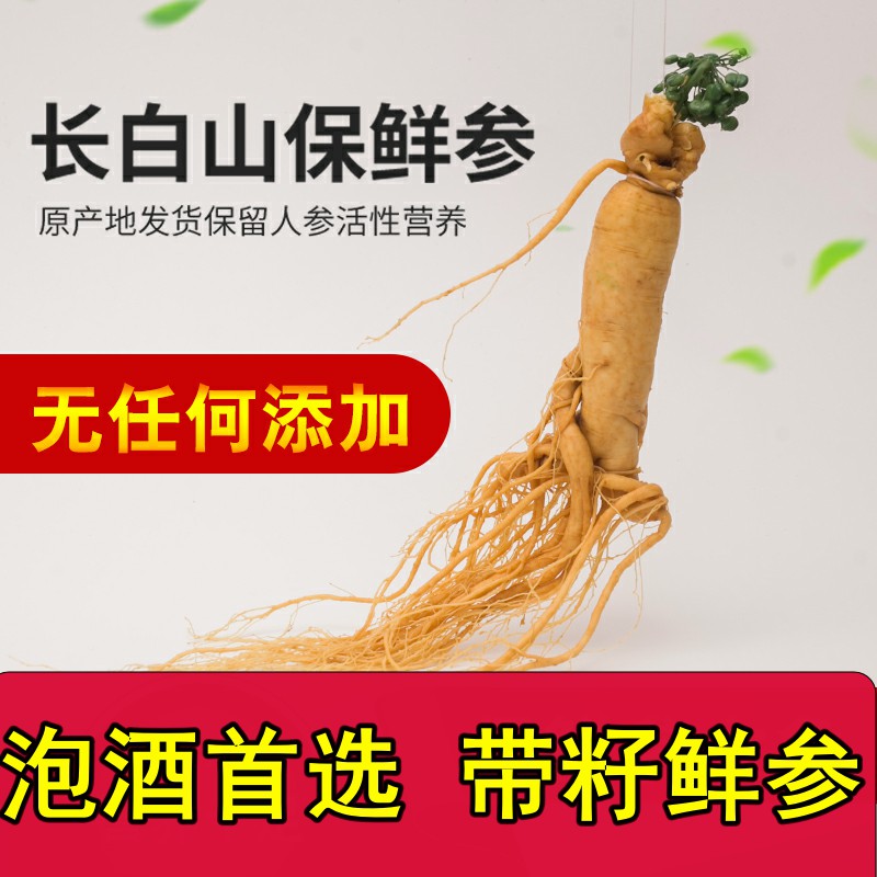 Changbai Mountain Ginseng ginseng fresh Preservation Senate Ginseng seeds Northeast Paojiu Chicken 6 yearsin the Traditional nourishing food , Ginseng tonic , Ginseng/Garden ginseng category - from Buy2taobao.com to provide professional Taobao agent buy service