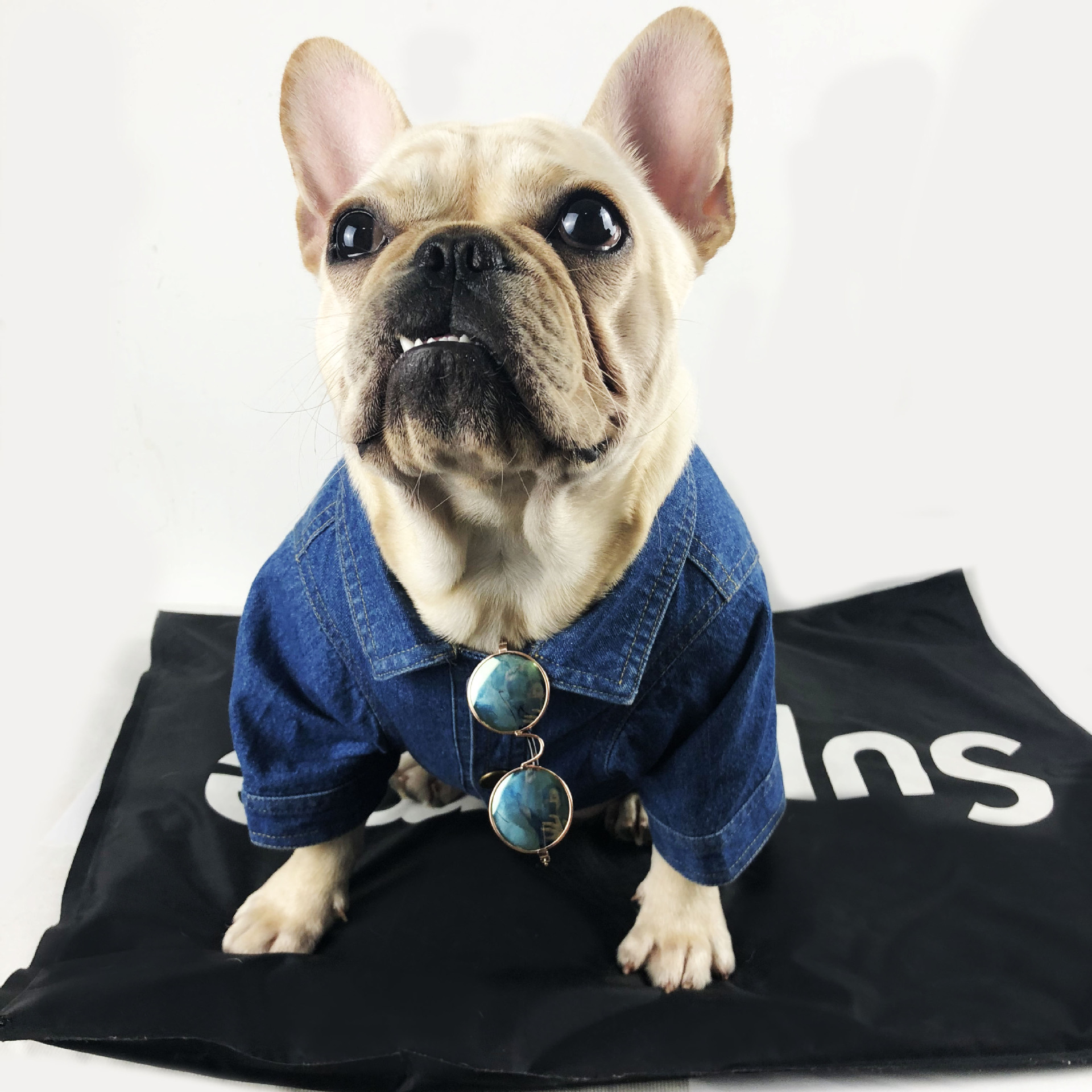 潮牌狗狗衣服春装牛仔外套 巴黎家两脚 法斗泰迪比熊猫咪中小型在类目 宠物/宠物食品及用品, 宠物服饰及配件, 宠物服装/雨衣中 - 来自Buy2taobao.com提供专业的淘宝代购服务