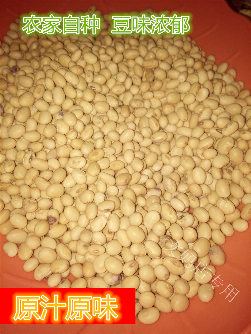 广西农家特产自种黄豆味香浓豆浆豆500g/份 3份包邮|ruв категории зерно риса/север и Юг сухих грузов/приправы, метров/муки/зерновые, фасоль, соя - от Buy2taobao.com для оказания профессиональной услуги покупки агента Taobao