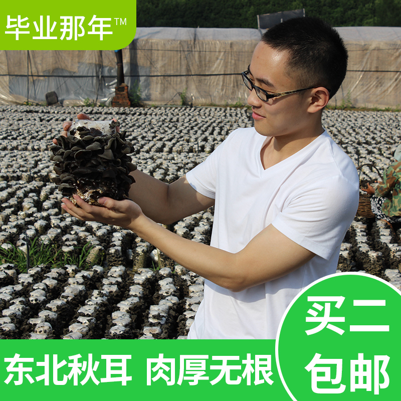 毕业那年东北野生黑木耳125g 特干货无根秋耳 原大学生创业梦之店|msdalam kategori beras/Utara-Selatan barangan kering/perasa, Utara-Selatan barangan kering/daging Kering, kering/Native, cendawan hitam - dari Buy2taobao.com untuk memberikan perkhidmatan ejen Taobao profesional membeli