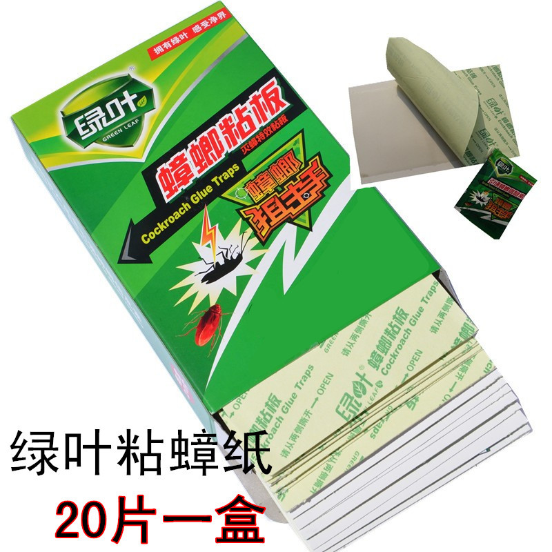Green leaf Cockroaches house Cockroach board Cockroach Cockroach medicine Plastic bait Powder householdin the Care cleaners/Sanitary napkins/Paper/Aromatherapy , Deworming supplies , Rodent/Insecticide category - from Buy2taobao.com to provide professional Taobao agent buy service