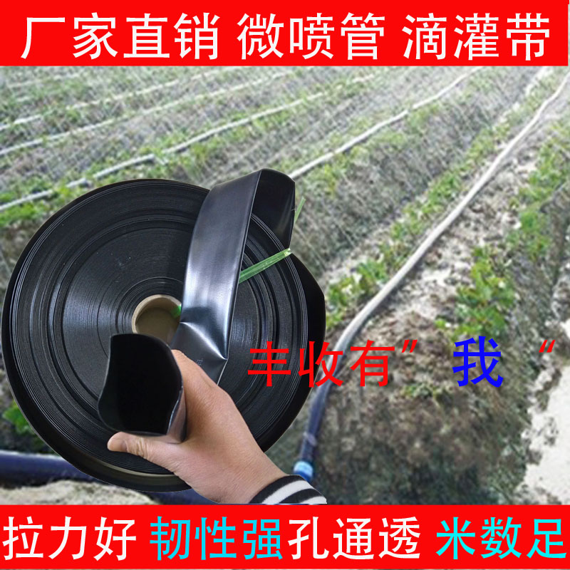 Agriculture Weipen band Sprinkler pipe Sprinkler with gardens green automatic Drip equipment Water conservation Irrigation Drip irrigation beltin the Flower delivery/Flowers simulation/Plants gardening , Gardening supplies , Weipen/Drip/Fittings , Atomization Weipen/Drip irrigation equipment category - from Buy2taobao.com to provide professional Taobao agent buy service