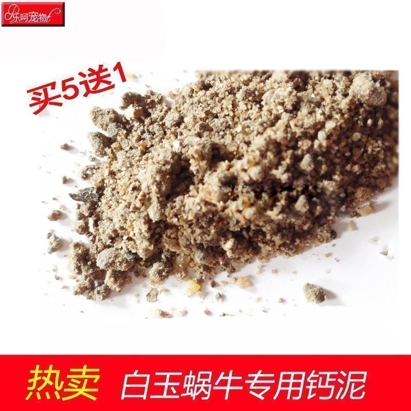 Buy 5 get 1 Pets White snail Dedicated Snail Snail Calcium Coordination Absorbin the Pet/Pet food and supplies , Reptile/Insects and supplies Ming , Reptile/Ming insect food category - from Buy2taobao.com to provide professional Taobao agent buy service