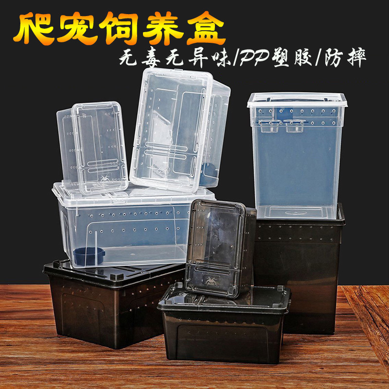 爬宠饲养盒角蛙守宫蜥蜴蜘蛛甲虫寄居蟹蝎子乌龟缸蜗牛饲养箱爬虫|ruв категории животное/Животное питание и принадлежностей, рептилии/насекомых и принадлежностей, рептилии/насекомых приборов - от Buy2taobao.com для оказания профессиональной услуги покупки агента Taobao