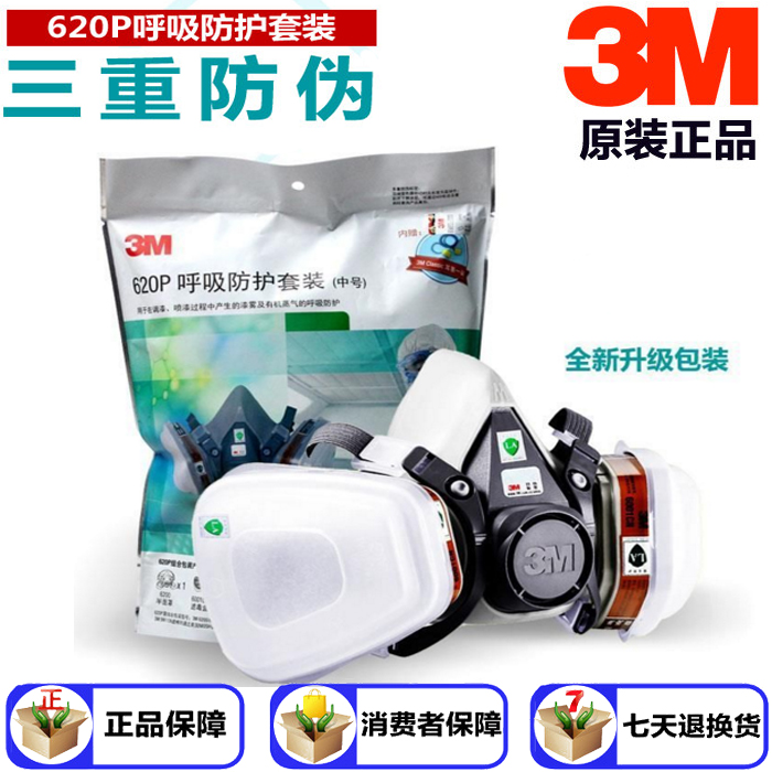 3M防毒面具喷漆专用防护面罩6200工业粉尘防毒口罩化工气体防异味在类目 居家日用, 防护用品, 防护面具中 - 来自Buy2taobao.com提供专业的淘宝代购服务