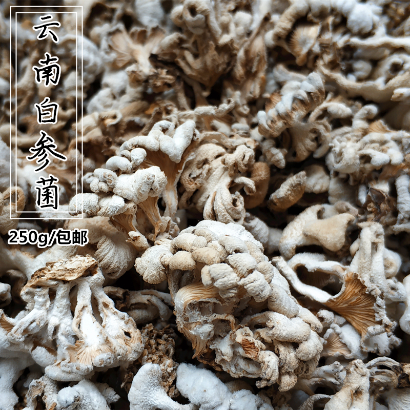 買2減5元 雲南白參菌幹貨250克 食用菌保山裂褶菌雪蓮菌土雜山貨在類目 糧油米麪/南北乾貨/調味品, 南北乾貨/肉類乾貨, 乾貨/土特產, 香菇類中 - 來自Buy2taobao.com提供專業的淘寶代購服務