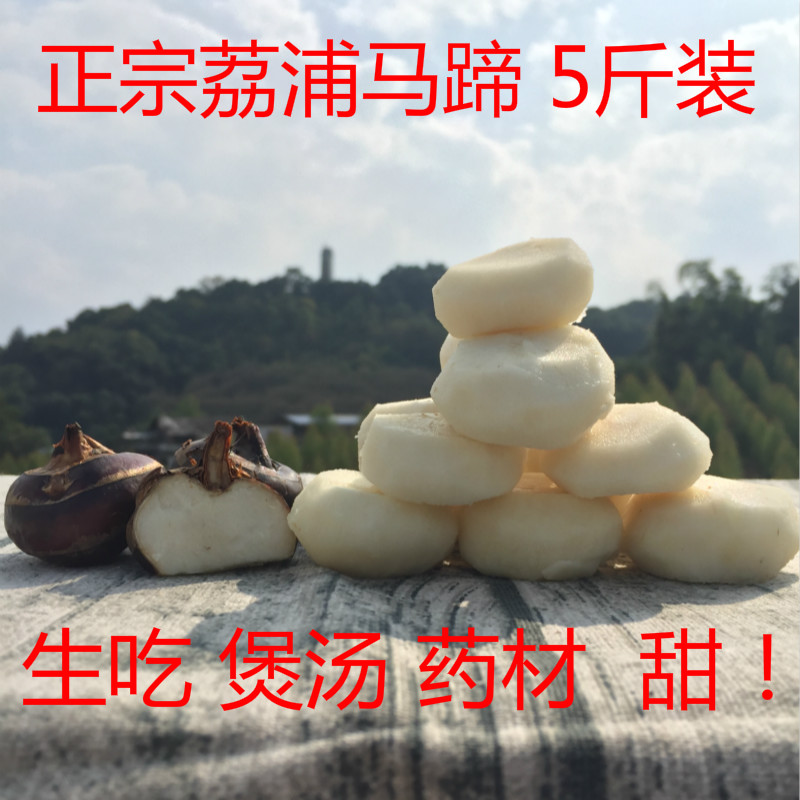 正宗广西特产荔浦马蹄 新鲜荸荠现挖地梨农家蔬菜水果五斤装包邮|msdalam kategori daging perikanan/Buah-buahan segar dan sayur-sayuran/dimasak, sayur-sayuran segar/Vegetable Products, sayur-sayuran segar, lain - dari Buy2taobao.com untuk memberikan perkhidmatan ejen Taobao profesional membeli