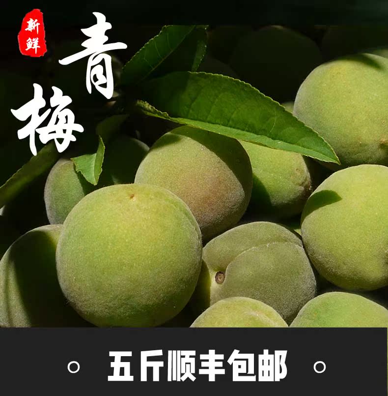 【南東西】雲南新鮮高山青梅 泡青梅酒酸梅青梅酵素5斤 順豐包郵在類目 水產肉類/新鮮蔬果/熟食, 新鮮水果, 其它中 - 來自Buy2taobao.com提供專業的淘寶代購服務