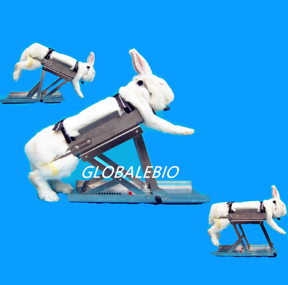 multi-function Fixation Retainer experiment rabbit Fixation Retainer fixed Box Book a ticketin the Hardware/Tool , Instrumentation , Other instrumentation category - from Buy2taobao.com to provide professional Taobao agent buy service