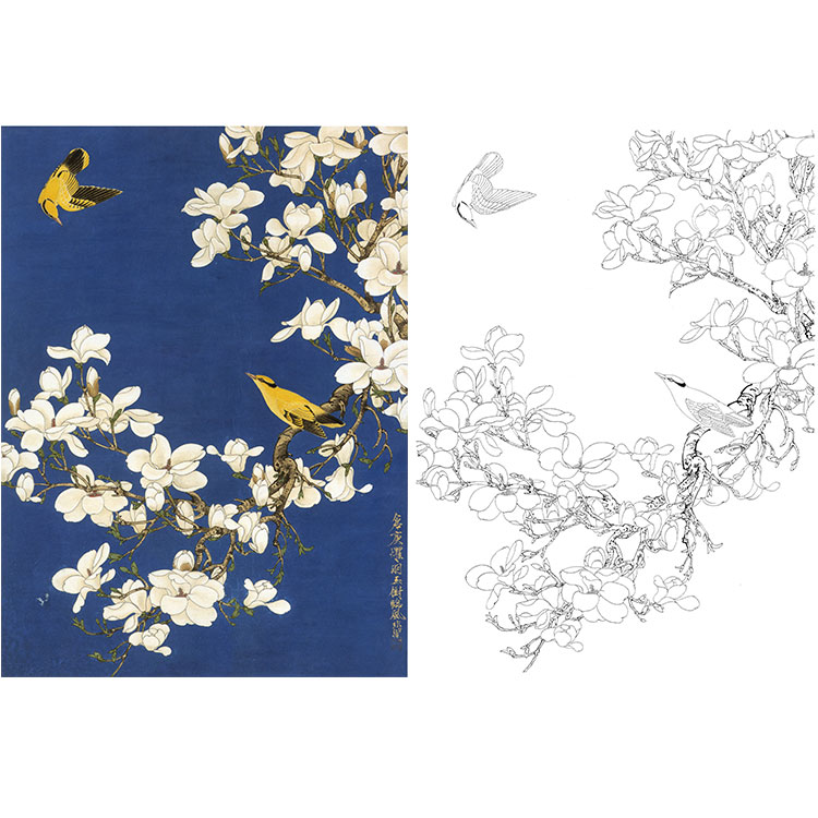 YF87 FeiChang Line drawing Manuscript Fine brushwork Flower Magnolia Oriole Line drawing Manuscript Material object Print manuscriptin the Home accessories , Decorative painting , Traditional Chinese painting category - from Buy2taobao.com to provide professional Taobao agent buy service