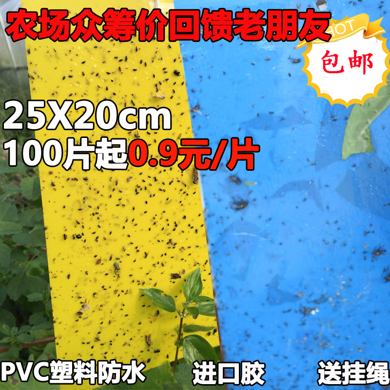 粘虫板方型黄板捕虫板捉虫板蓝板诱虫板双面进口胶杀蚜虫粉虱飞虫在类目 鲜花速递/花卉仿真/绿植园艺, 园艺用品, 其它园艺用品中 - 来自Buy2taobao.com提供专业的淘宝代购服务