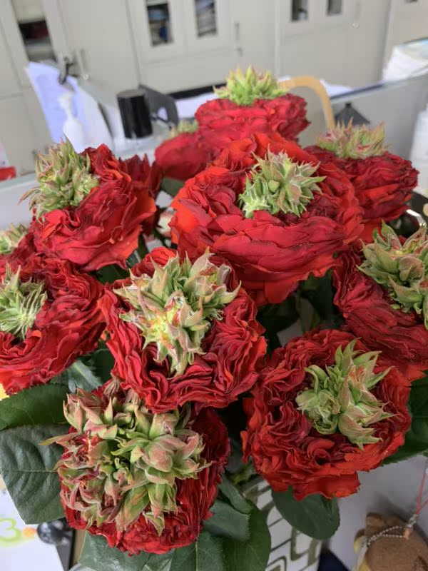 当季时令花材奥斯丁玫瑰芍药史莱克玫瑰小米花小飞燕红豆花睡莲花在类目 鲜花速递/花卉仿真/绿植园艺, 鲜花速递(同城)中 - 来自Buy2taobao.com提供专业的淘宝代购服务