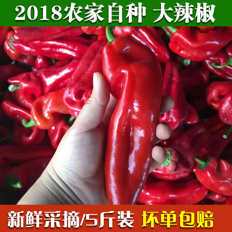 新鮮大辣椒醬辣椒農家蔬菜土辣椒紅青辣椒尖椒圓椒做泡椒5斤包郵在類目 水產肉類/新鮮蔬果/熟食, 新鮮蔬菜/蔬菜製品, 新鮮蔬菜, 其它中 - 來自Buy2taobao.com提供專業的淘寶代購服務