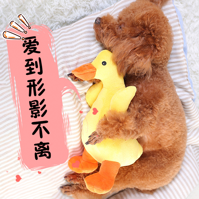 Dogs Toys Vent Plush Accompany sleep lovely Vocalization Small dogs Teddy Puppies Male dogs Pets Estrusin the Pet/Pet food and supplies , Cat/Dog Toys , Sound toys category - from Buy2taobao.com to provide professional Taobao agent buy service