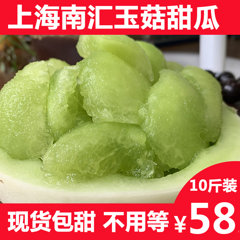 上海南汇玉菇甜瓜10斤绿肉香瓜甜瓜网纹瓜哈密瓜非羊角蜜新鲜水果|msdalam kategori daging perikanan/Buah-buahan segar dan sayur-sayuran/dimasak, buah-buahan segar, Cantaloupe - dari Buy2taobao.com untuk memberikan perkhidmatan ejen Taobao profesional membeli