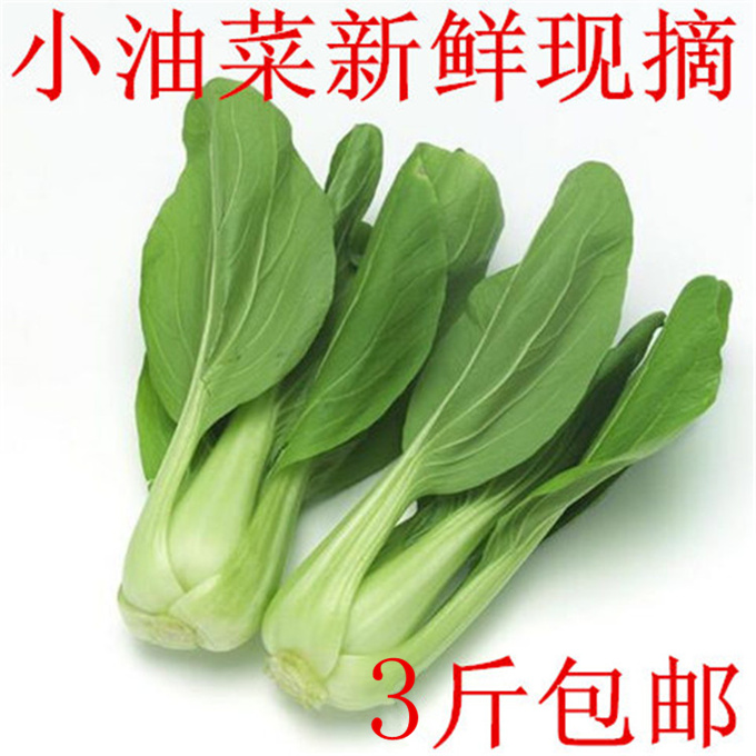 新鲜小油菜 小白菜农家种植青菜速生菜,无公害有机蔬菜3斤包邮|msdalam kategori daging perikanan/Buah-buahan segar dan sayur-sayuran/dimasak, sayur-sayuran segar/Vegetable Products, sayur-sayuran segar, lain - dari Buy2taobao.com untuk memberikan perkhidmatan ejen Taobao profesional membeli