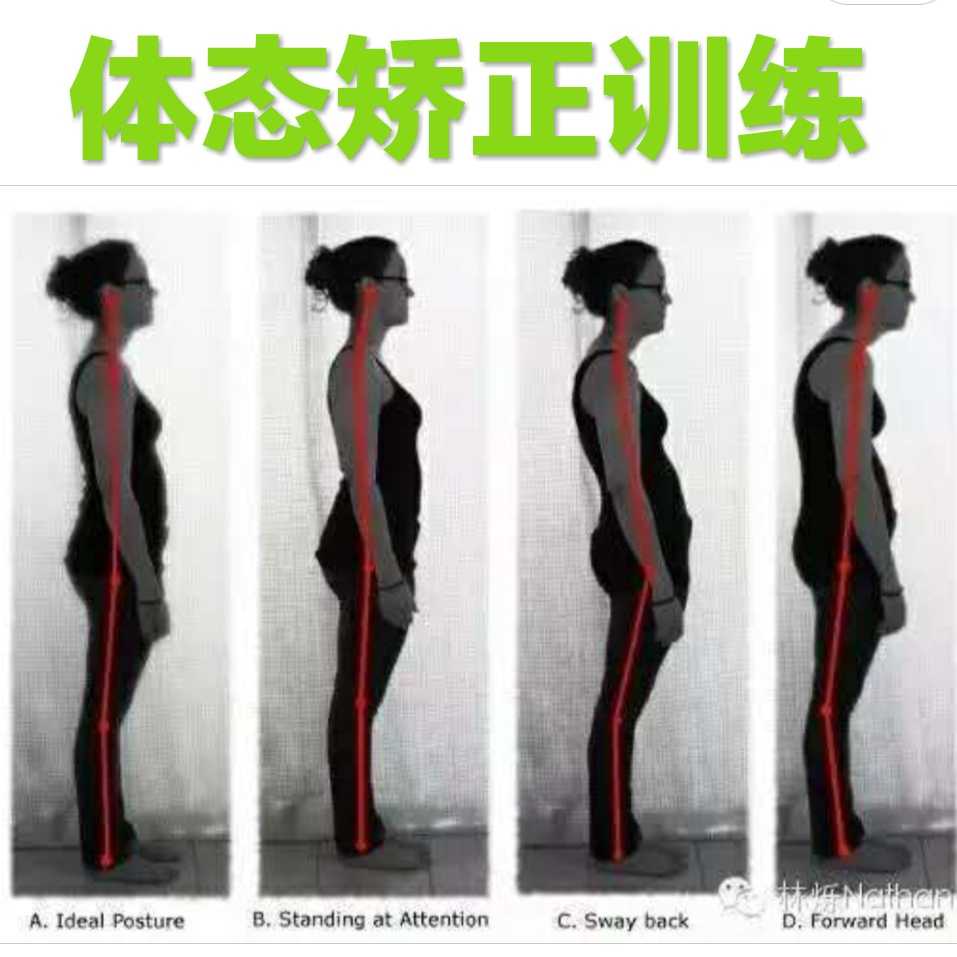 纤薄肩颈 矫正驼背 圆肩 体态矫正美肩背私教小班课健身视频 课程|ruв категории движение/йога/фитнес/фанаты товаров, йога, больше йога принадлежностей - от Buy2taobao.com для оказания профессиональной услуги покупки агента Taobao