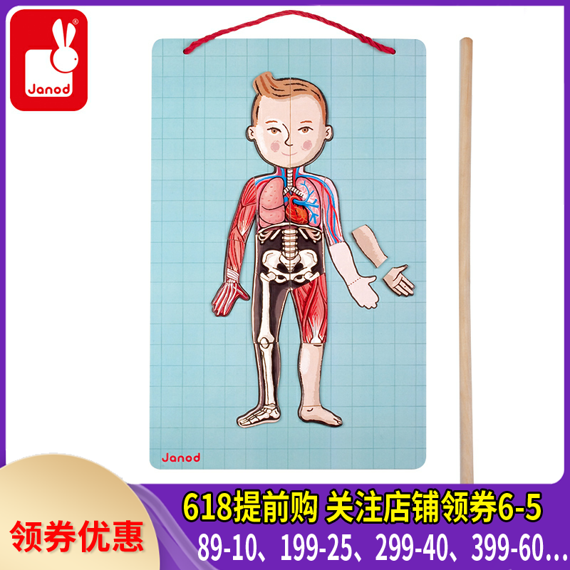 Recommend France janod children Puzzle cognition Toys human body Magnetic force Jigsaw puzzle girl 3-6 yearin the Toy/Childs/Puzzle/Building block/Model , Beads/Jigsaw/Pair/Disassembly/Beat Toy , Jigsaw/Puzzle category - from Buy2taobao.com to provide professional Taobao agent buy service