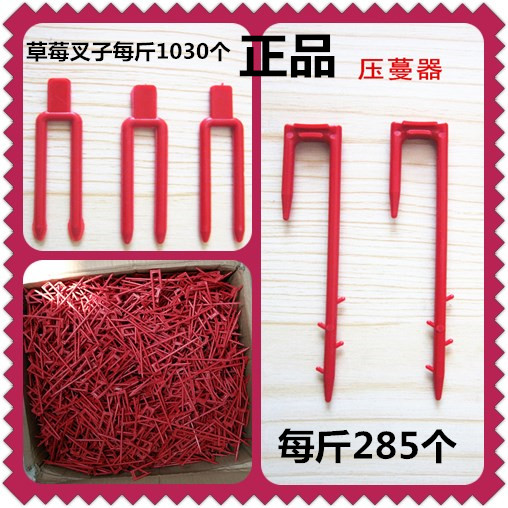 草莓叉子甜瓜西瓜育苗壓蔓器壓苗叉藤蔓植物固定器壓蔓生根起苗鏟在類目 鮮花速遞/花卉仿真/綠植園藝, 園藝用品, 其它園藝用品中 - 來自Buy2taobao.com提供專業的淘寶代購服務