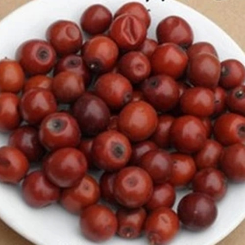 Fresh sour jujube Dried sour jujube Rural jujube Fresh sour jujube Jujube Couple of pounds of equipmentin the Aquatic meat/Fresh fruits and vegetables/Cooked , Fresh fruit , Jujube category - from Buy2taobao.com to provide professional Taobao agent buy service