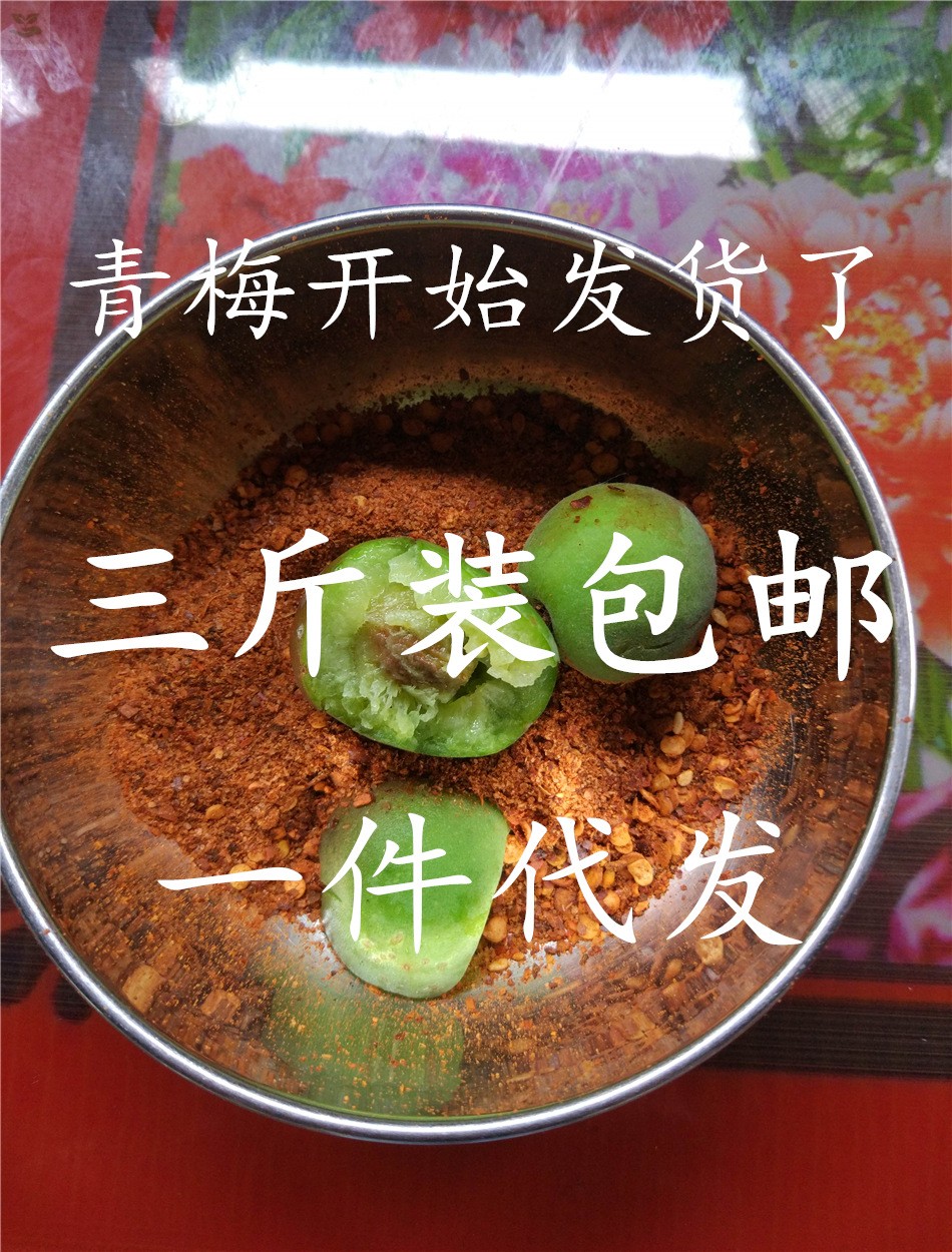 小梅子熟了现摘现发青梅果新鲜杏梅大理洱宝话梅巍山特产野生酸梅在类目 水产肉类/新鲜蔬果/熟食, 新鲜水果, 其它中 - 来自Buy2taobao.com提供专业的淘宝代购服务