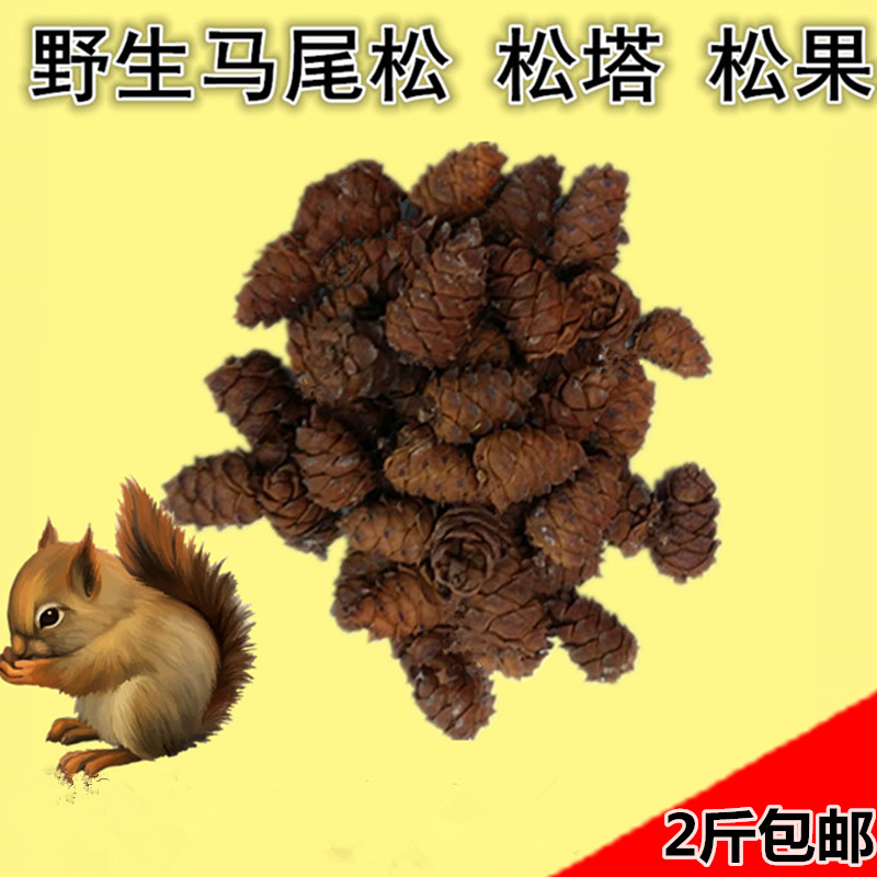 松树塔生松塔干松塔松鼠粮食小松塔松子马尾小松塔偃松松树塔500在类目 零食/坚果/特产, 山核桃/坚果/炒货, 松子中 - 来自Buy2taobao.com提供专业的淘宝代购服务