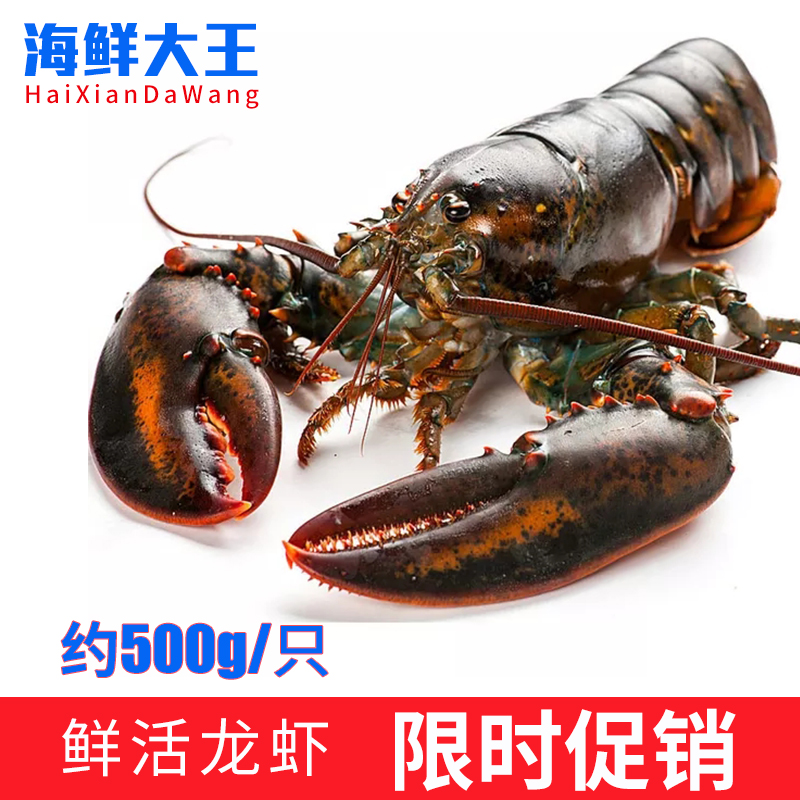 加拿大進口野生波士頓龍蝦鮮活波龍大龍蝦海鮮水産500g壹只在類目 水產肉類/新鮮蔬果/熟食, 海鮮/水產品/製品, 蝦類, 蝦類製品中 - 來自Buy2taobao.com提供專業的淘寶代購服務