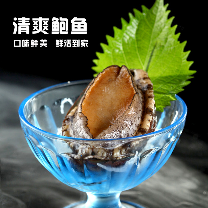 Fresh Fujian Abalone 10 Every dress is fresh and lively. 10 Abalone Shellfish Aquatic productsin the Aquatic meat/Fresh fruits and vegetables/Cooked , Seafood/Aquatic/Product , Shellfish , Abalone category - from Buy2taobao.com to provide professional Taobao agent buy service
