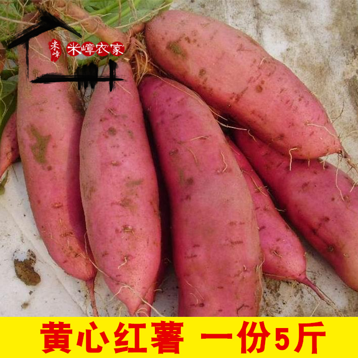 2018 Farm plant fresh sweet potato 5 pounds Sweet potato Sweet potato Potato Vegetables Yellow Heartin the Aquatic meat/Fresh fruits and vegetables/Cooked , Fresh vegetables/Vegetable products , Fresh vegetables , Sweet potato category - from Buy2taobao.com to provide professional Taobao agent buy service