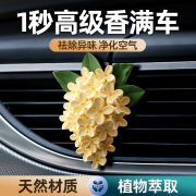 多种味道可以选择一夏香满车