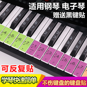 88/61/54电子琴钢琴彩色键盘贴初学者钢琴贴纸音标音符贴五线简谱