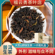 普洱茶2024大雪山野放生茶，云南临沧古树茶生普正宗散装茶叶250克