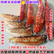 新鲜冷冻大蟹钳 梭子蟹蟹脚 螃蟹腿 蟹腿海鲜生鲜冷冻蟹爪1件/3斤
