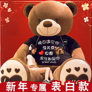 大熊毛绒玩具公仔布洋娃娃，抱抱熊泰迪熊猫大号，新年玩偶女生日礼物