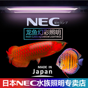 日本NEC灯管红龙诱色T8三基色幻彩南美鱼野彩罗汉水族照明潜水灯