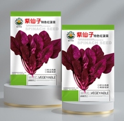 紫仙子红菠菜(包装袋，13x19厘米)每包约300粒左右