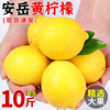 四川安岳黄柠檬(黄柠檬)10斤当季新鲜水果皮薄香水鲜甜柠檬青整箱