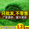 仿真草坪绿色人造假草皮足球场幼儿园户外广场塑料绿植物装饰地毯