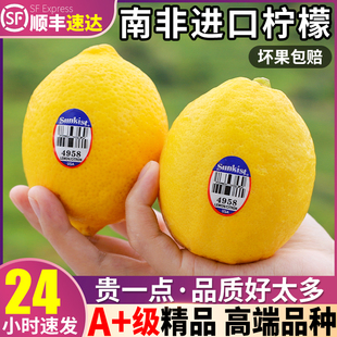 高端品种 10斤南非进口黄柠檬新鲜皮薄香水特级大果整箱5