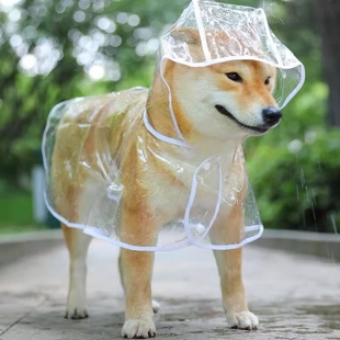 修狗雨衣专用中型犬雨披防水宠物透明夏季狗狗雨衣遮下雨新款牵引